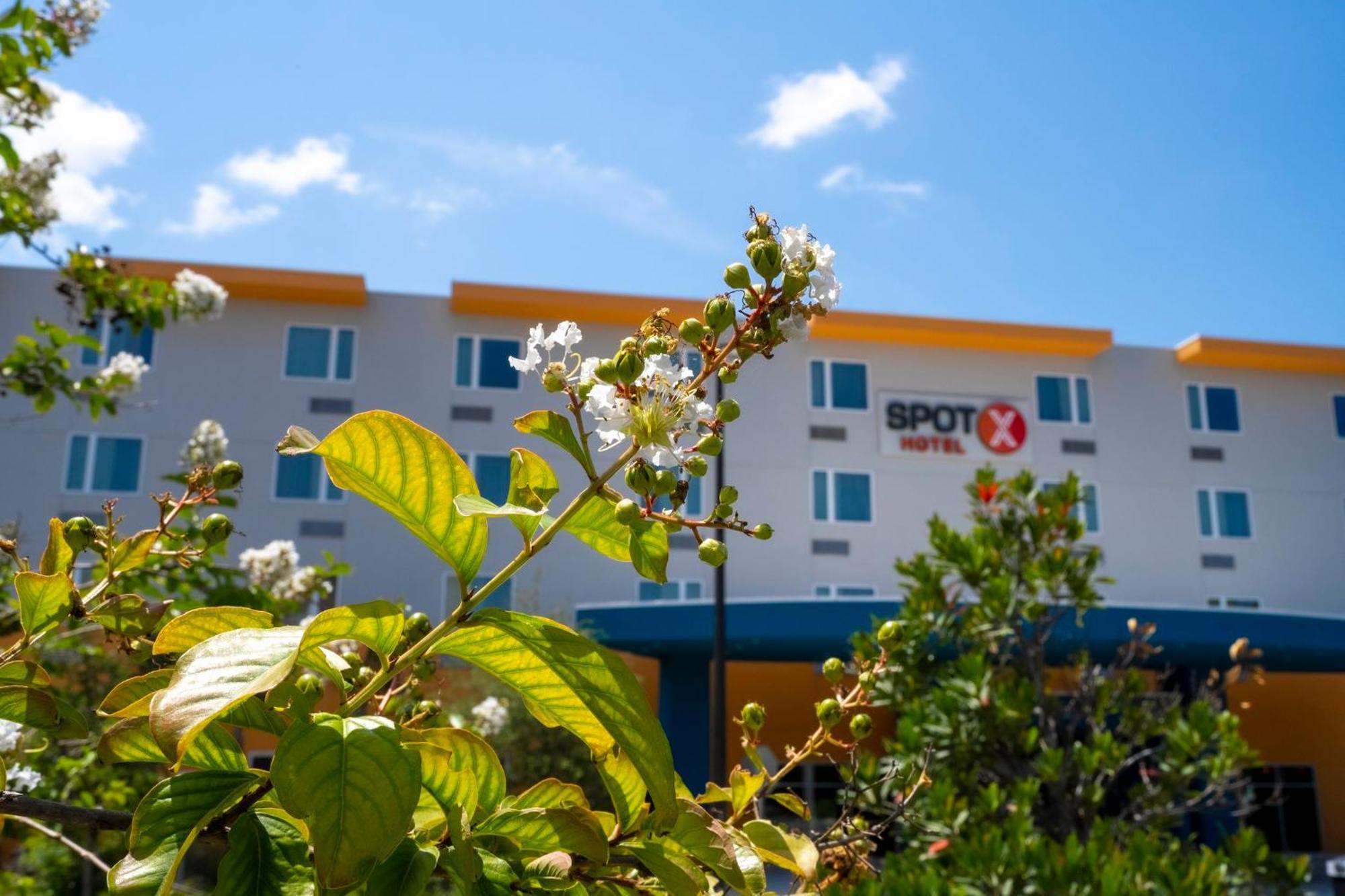 Spot X Hotel Orlando Intl Dr By The Red Collection Λίμνη Μπουένα Βίστα Εξωτερικό φωτογραφία